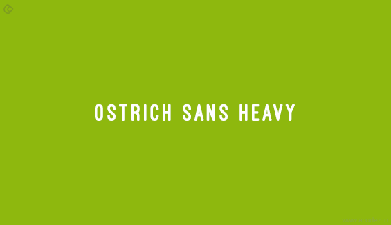 Ostrich Sans Heavy - Free Fonts for Professional Web Design