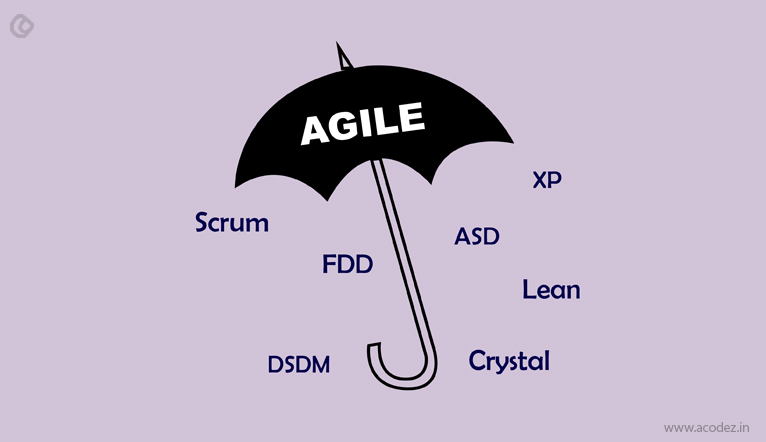 Types of Agile Development
